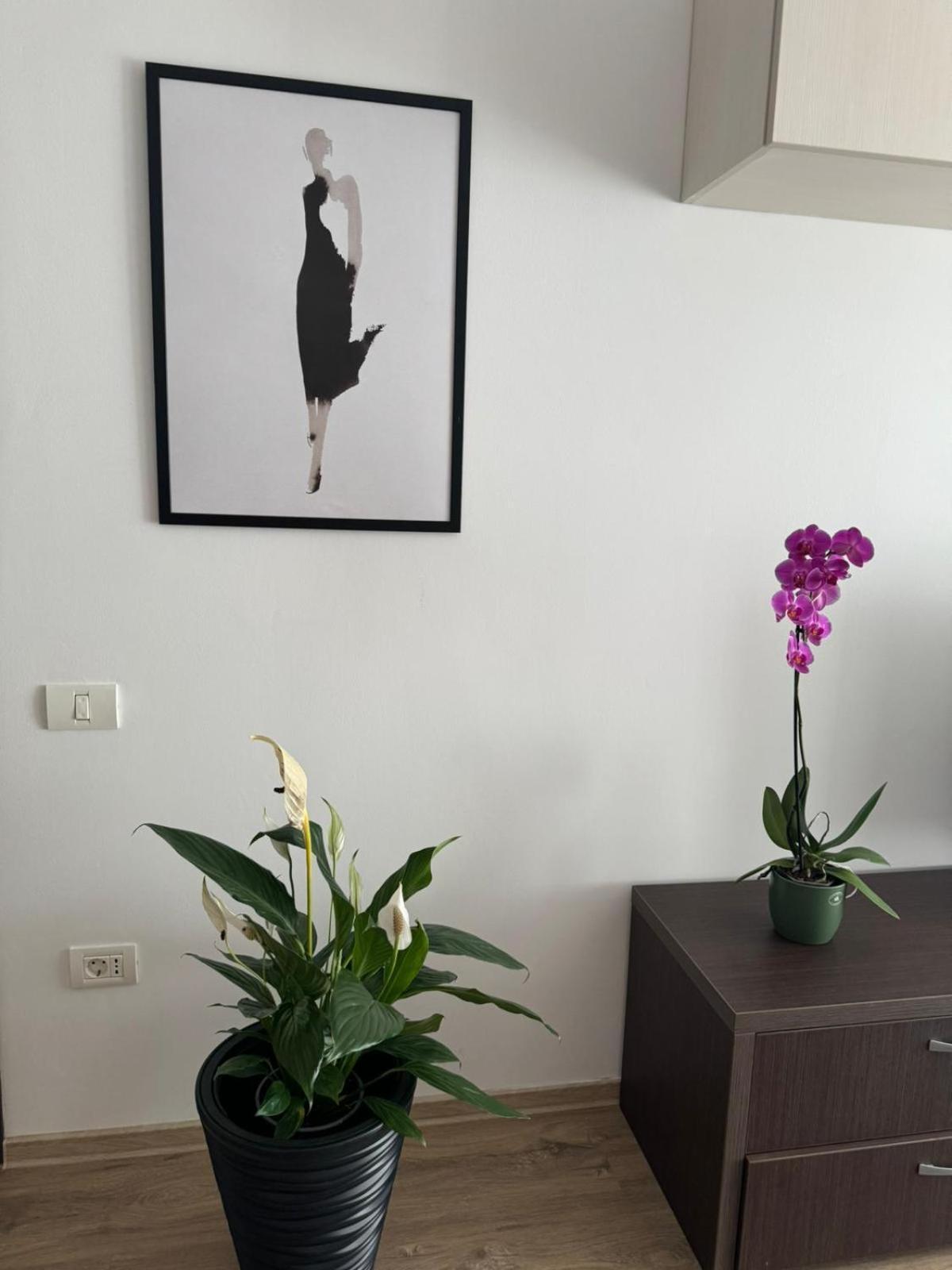 Apart Mihai Viteazu Residence Brasov Bagian luar foto